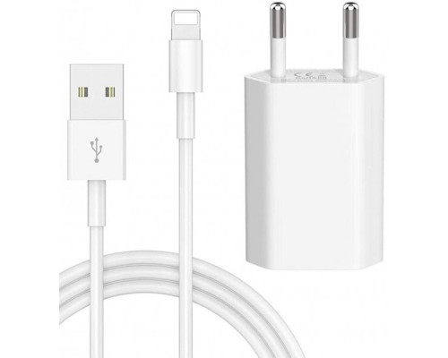 Кабель для Apple iPhone Lightning to USB кабель для зарядки iPad IOS 1m і блок живлення зарядний Apple Комплект