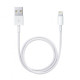 Кабель для Apple iPhone Lightning to USB кабель для зарядки iPad IOS 1m і блок живлення зарядний Apple Комплект