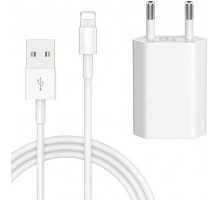 Кабель для iPhone Lightning to USB Foxconn кабель зарядки для iPad IOS 1m и блок питания зарядный Комплект White 1 А