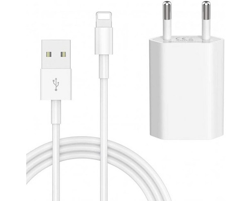 Кабель для iPhone Lightning to USB Foxconn зарядний кабель для iPad IOS 1m і блок живлення зарядний Комплект White