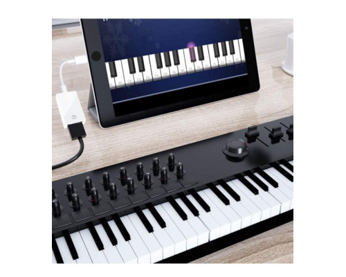 Перехідник для iPhone на адаптер USB для iPad кабель для підключення камери Apple Lightning USB Camera PAVLYSH (PA-35)