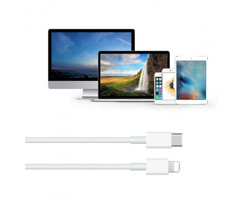 Комплект швидкої зарядки для Apple iPhone Зарядний пристрій 20 W USB-C + Кабель USB-C to Lightning PAVLYSH 8